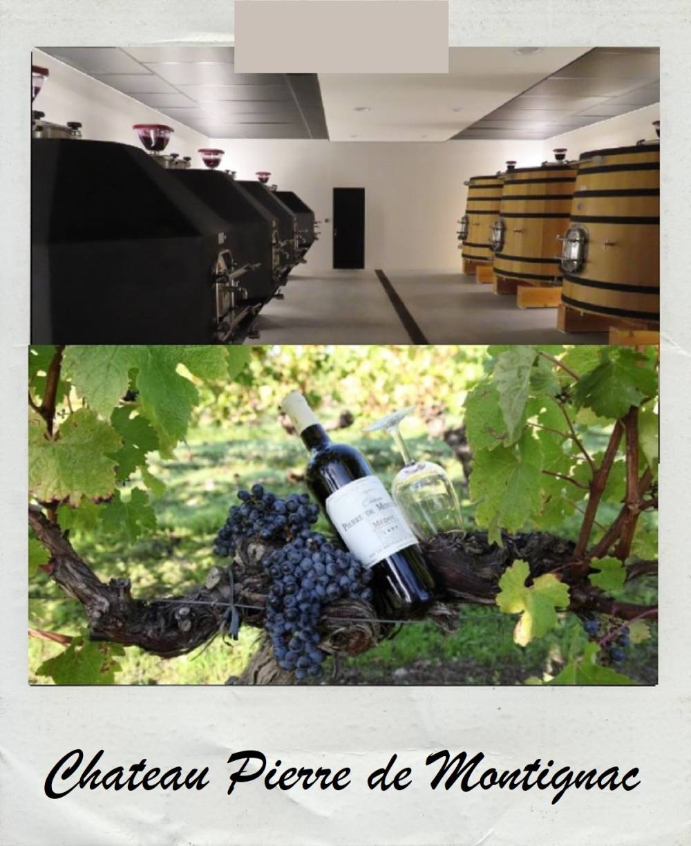 vin-vignes-tonneaux