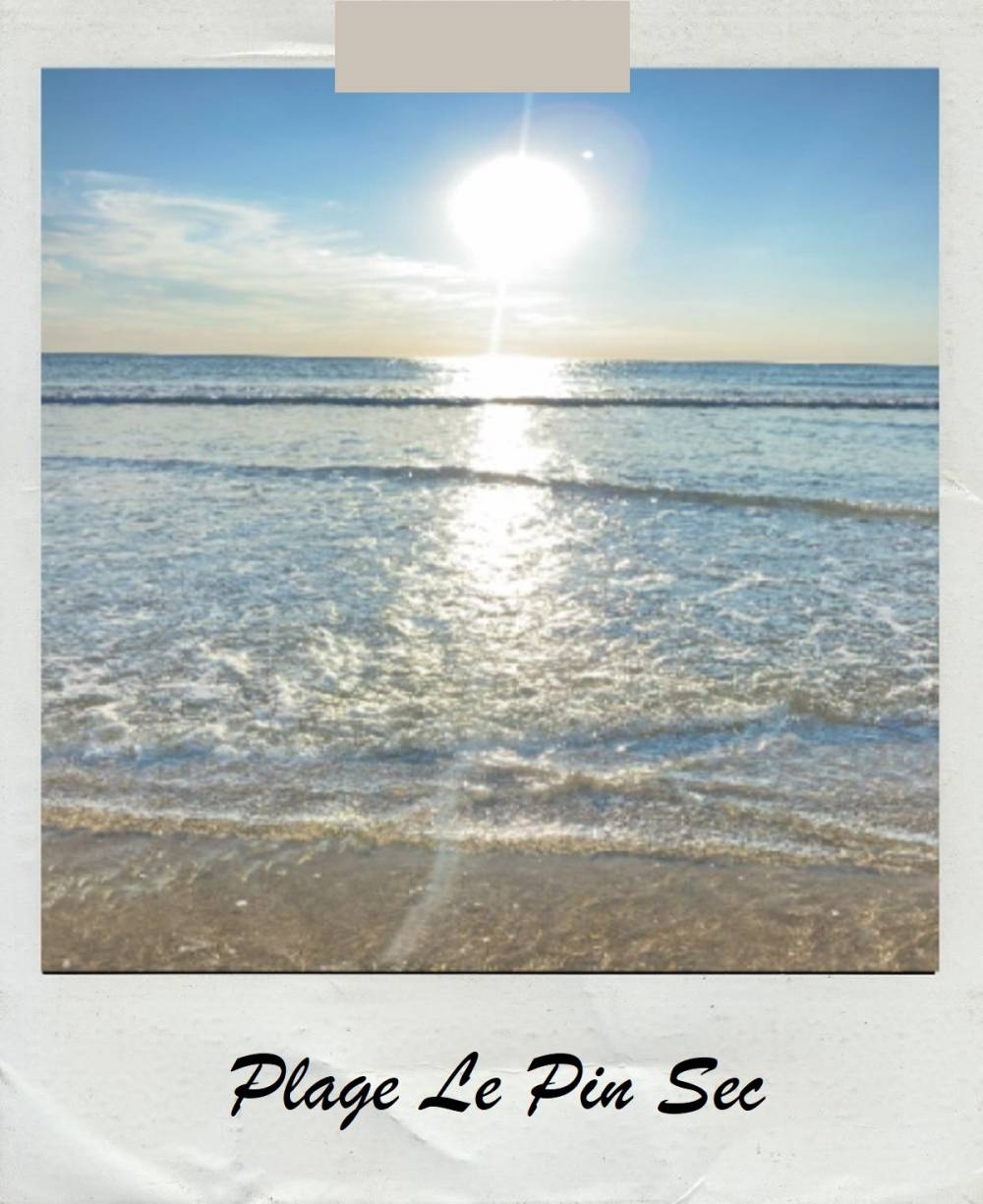 pin-sec-plage