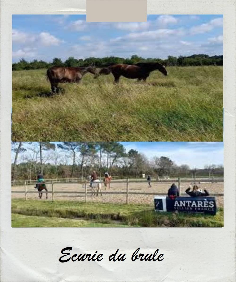 ecurie-du-brule
