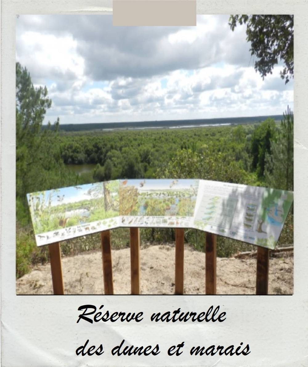 reserve-natuelle- dunes-marais