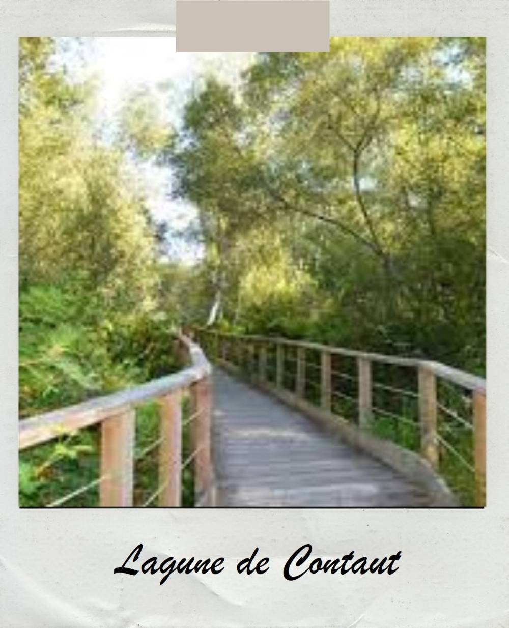 lagune-de-contaut