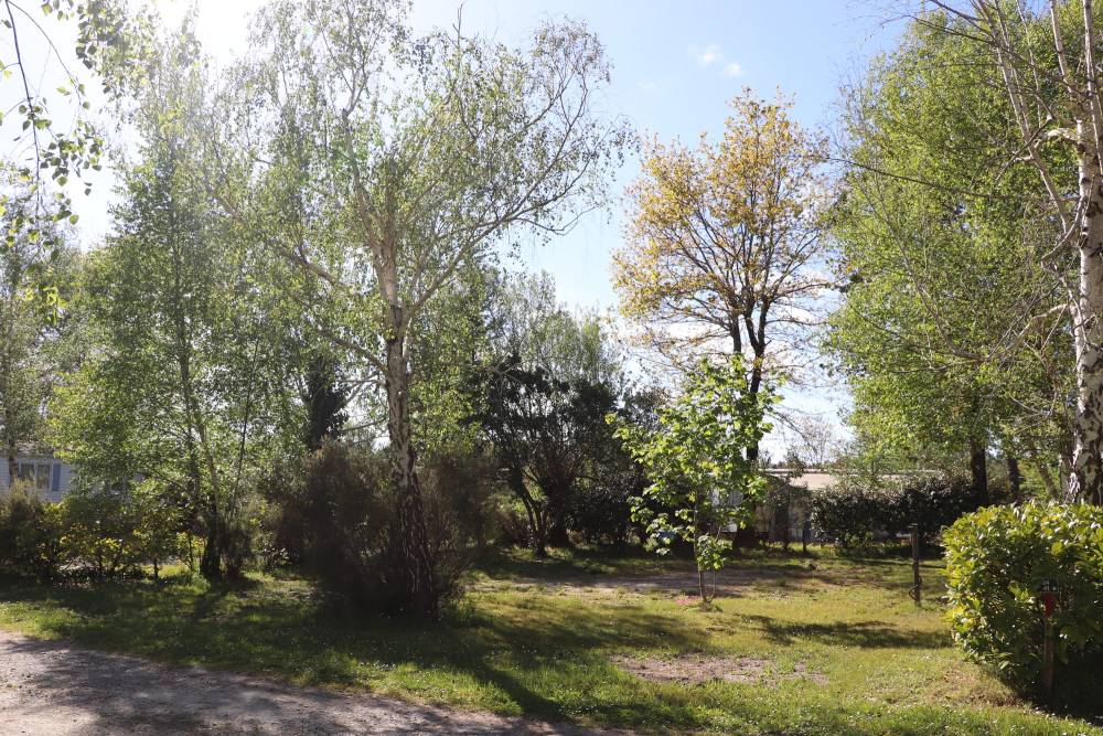 Emplacement à l'année (5)